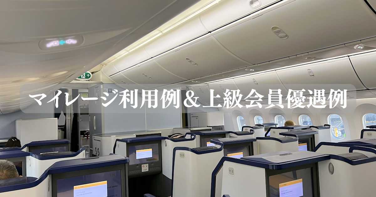 マイレージ利用例290